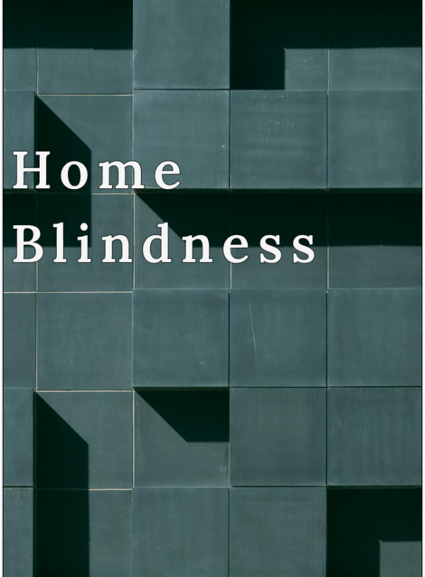 Why It’s Impossible to Evaluate Your Own Home: Home Blindness